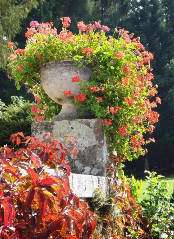 Chateau Le Mialaret Neuvic  ภายนอก รูปภาพ
